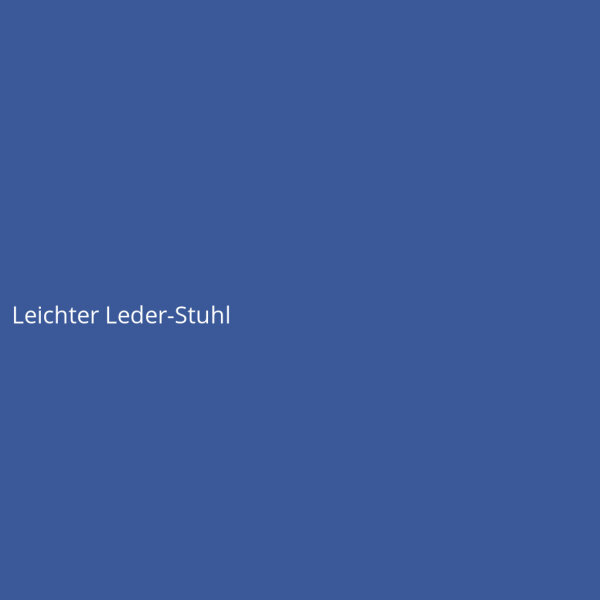 Leichter Leder-Stuhl