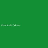 Kleine Kupfer-Schuhe