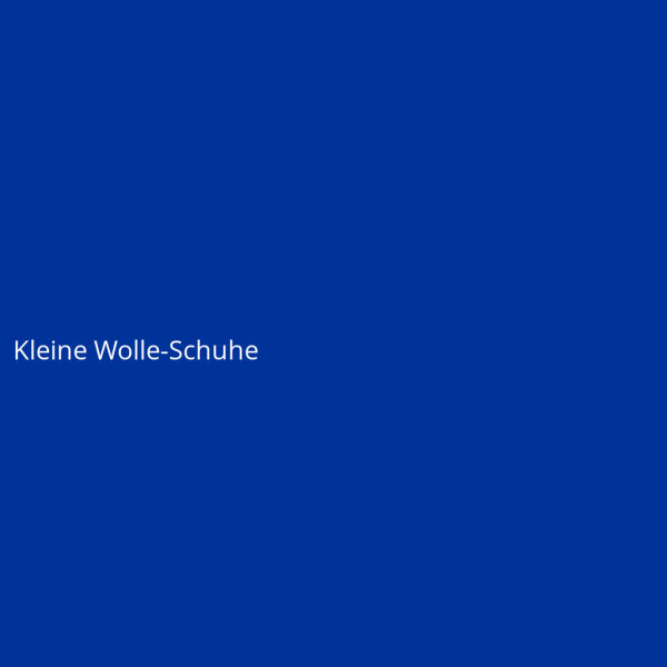 Kleine Wolle-Schuhe