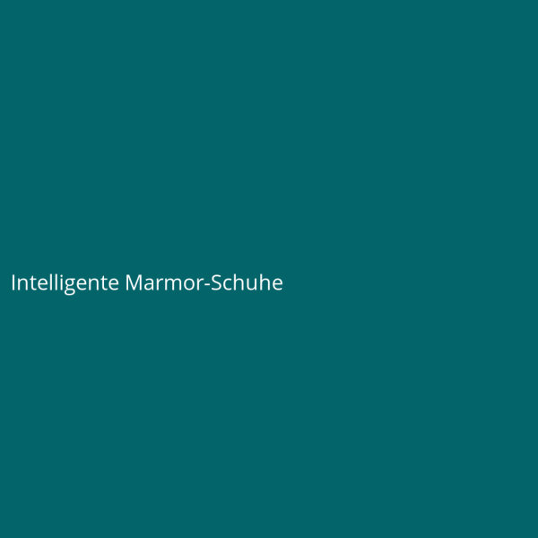 Intelligente Marmor-Schuhe